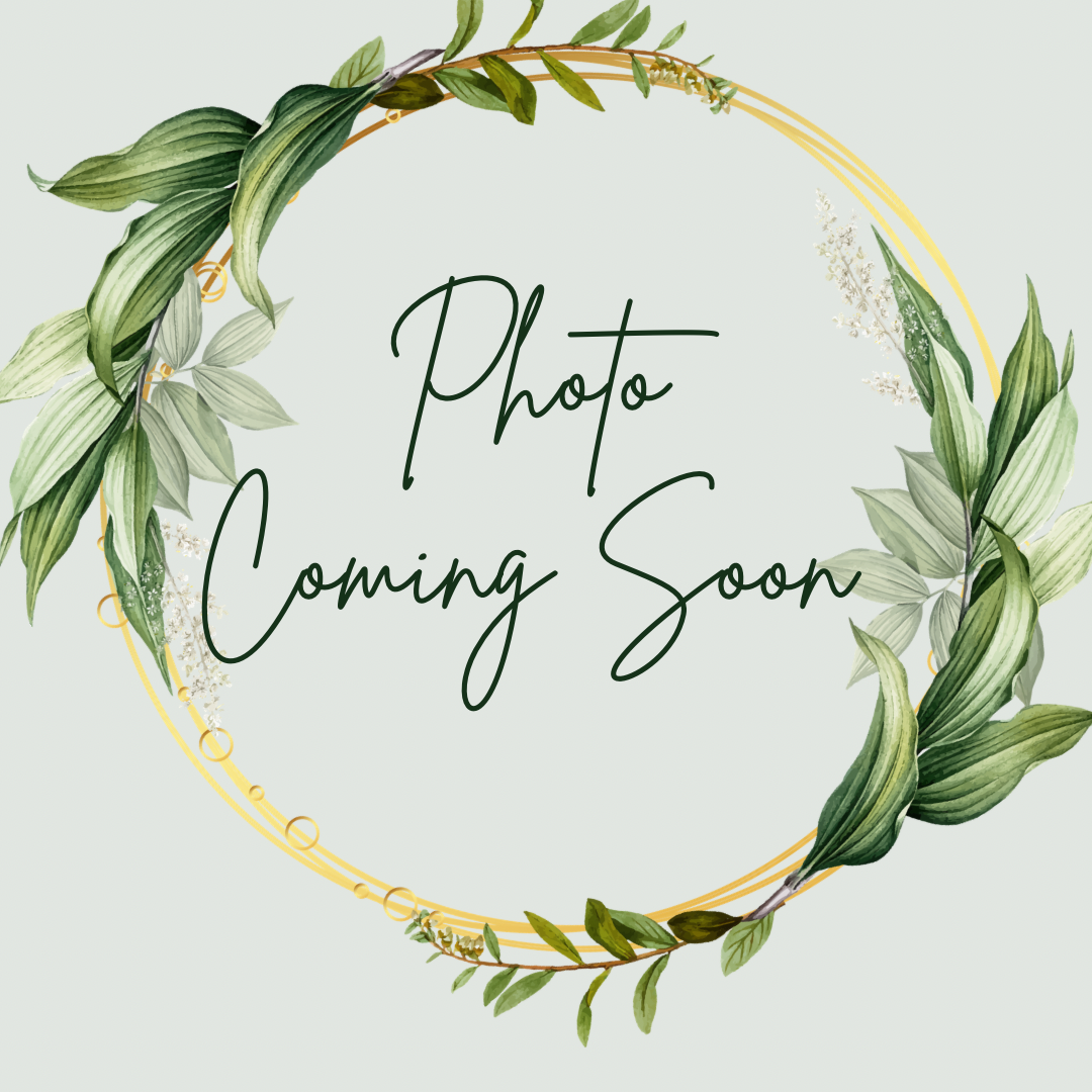 Honey Tallow Lip Balm