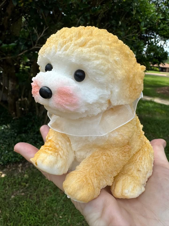 Assorted Large Cat or Dog Plush Squishy